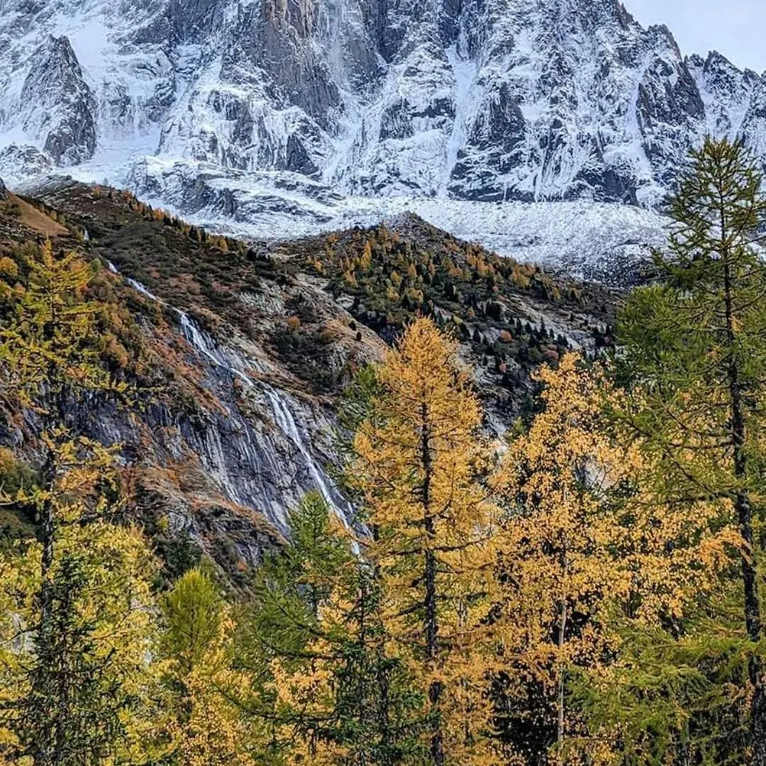 Happy Moose - Cosy Mont Blanc View Apartment Chamonix